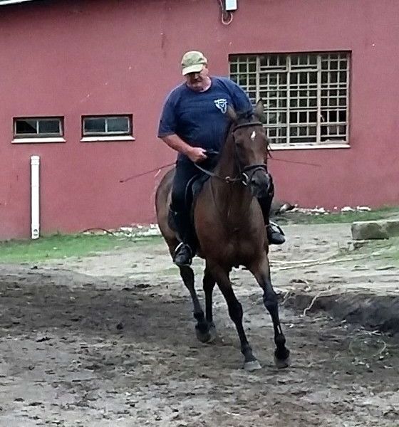 Gothic_dutchman Gothic_dutchman