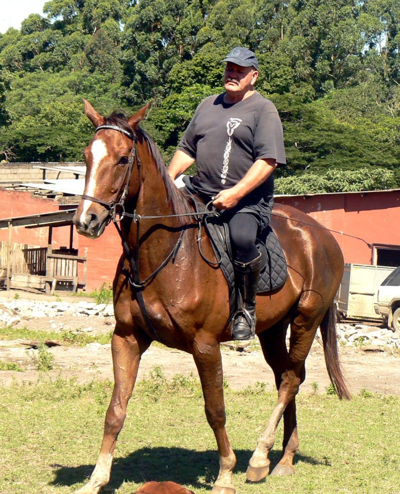 Gothic_dutchman Gothic_dutchman